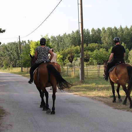 Ádám Tanya Fogadó Balázspuszta Esterno foto