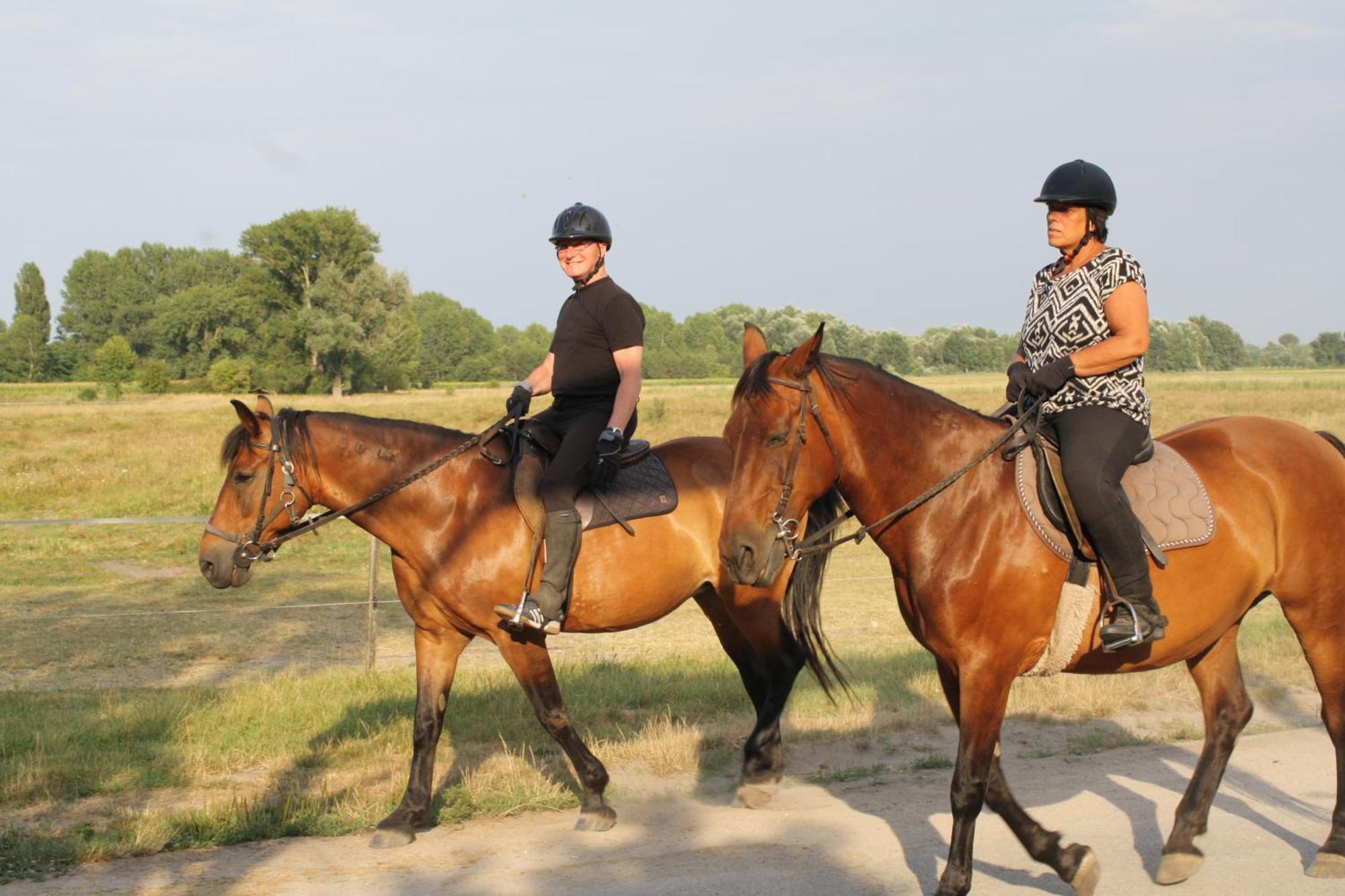 Ádám Tanya Fogadó Balázspuszta Esterno foto